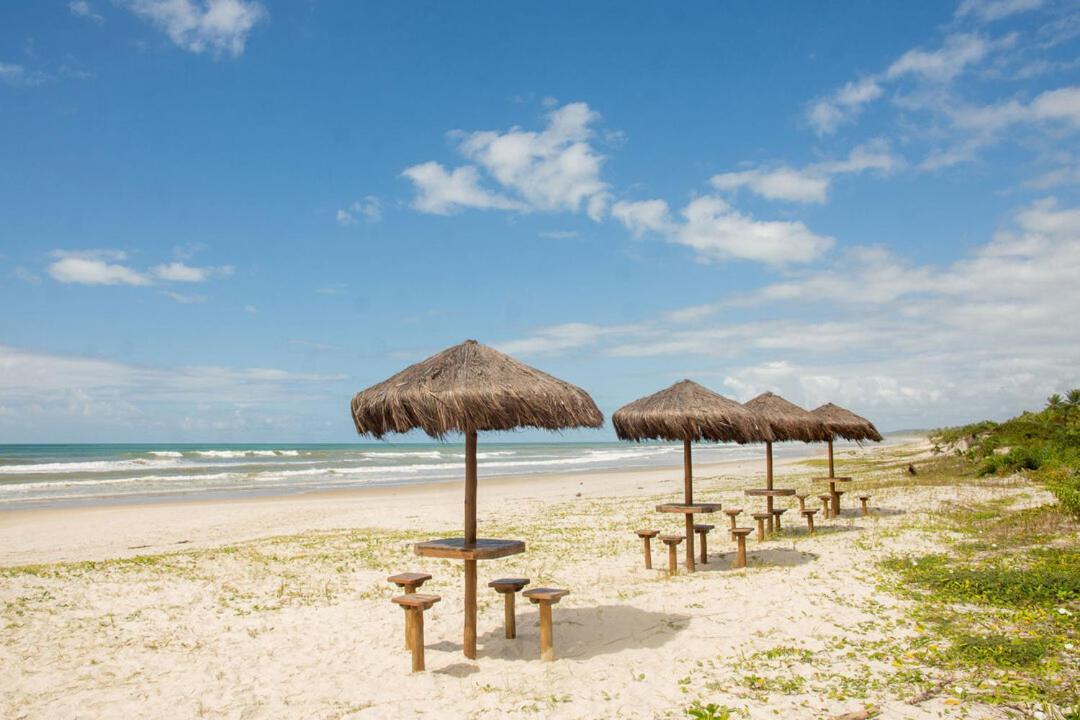 Otimo Apto A Beira Mar Com Wifi Em Ilheus Ba Ilhéus Exterior foto